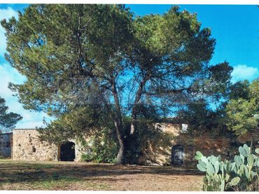 Casa rústica en venda a Felanitx Poble