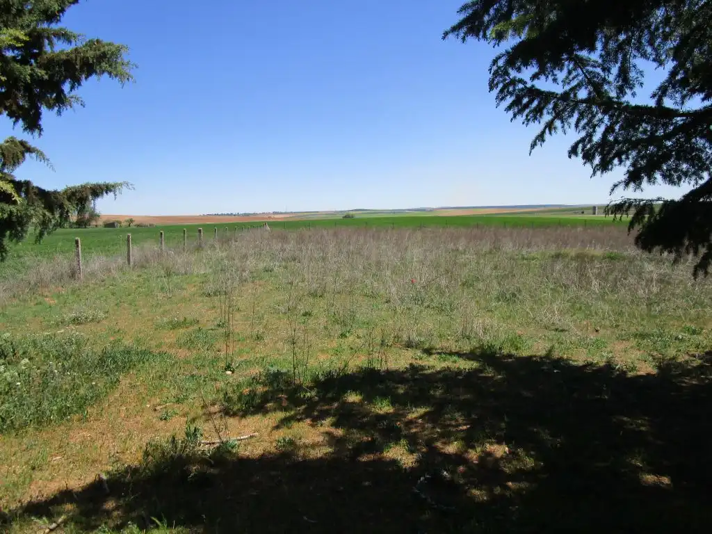 Terreny rústic en venda a Parada de Arriba, imagen 22
