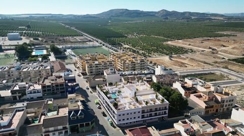 Foto 3 de Planta baja en venta en Algorfa, Alicante