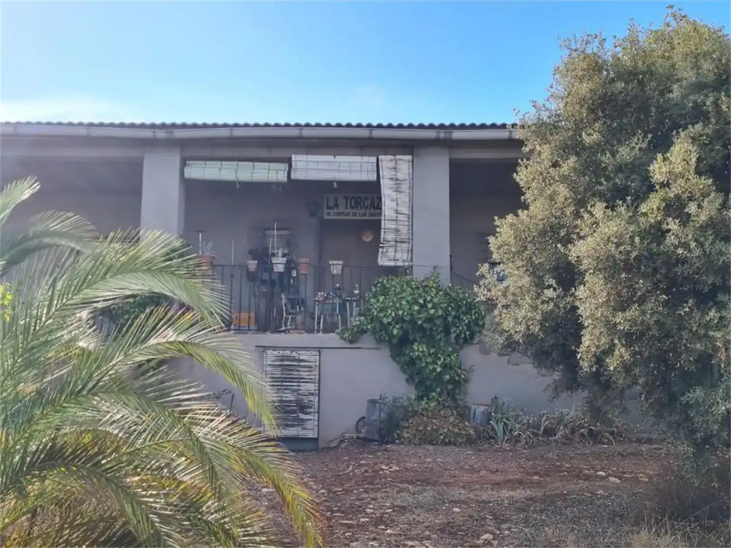 Vista exterior de Finca rústica en venda en Calzada de Calatrava