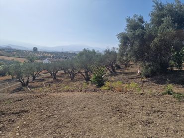Terreno residenziale in vendita a Coín