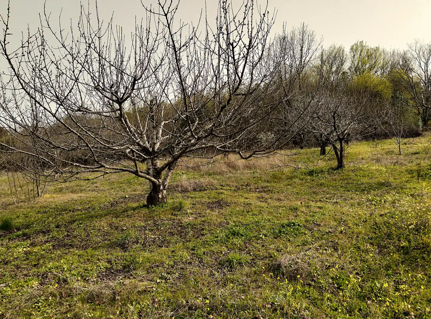 Terreno en venta en Collado de la Vera