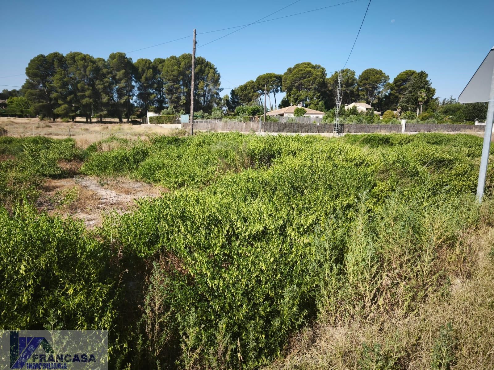 Finca rústica en venta en Hellín