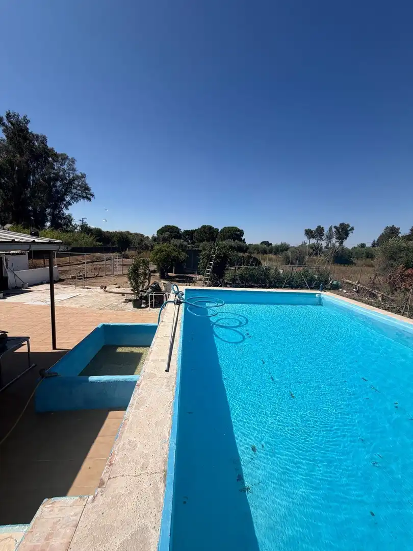 Piscina de Finca rústica en venta en Utrera