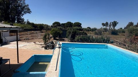Foto 5 de Finca rústica en venda a Pedanías Norte, Utrera