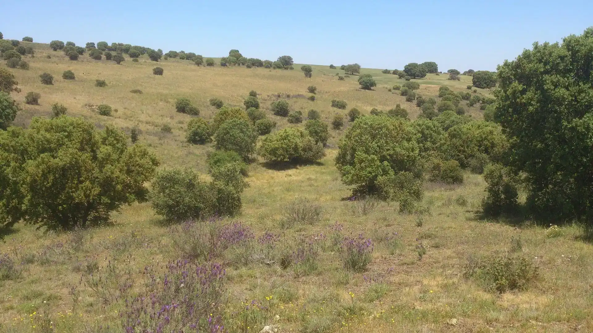 Terreno en venta en Mediana de Voltoya