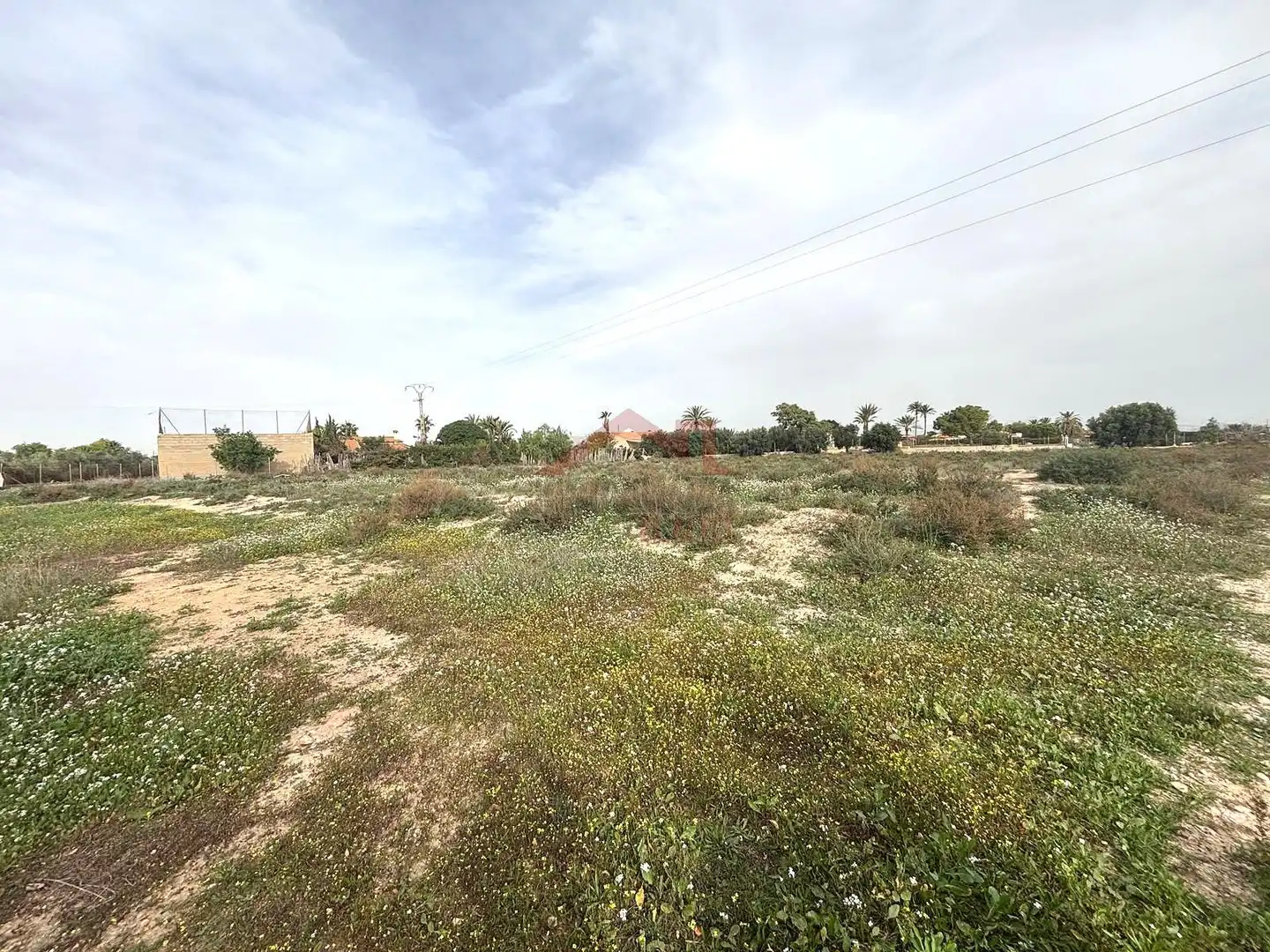 Grundstücke zur Miete in Elche / Elx