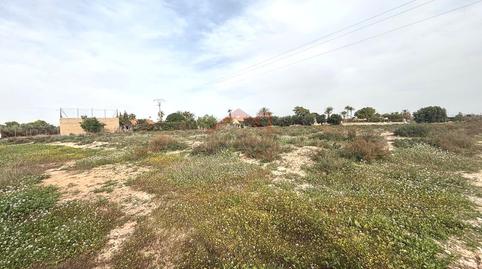 Foto 5 von Grundstücke zur Miete in El Altet, Elche / Elx