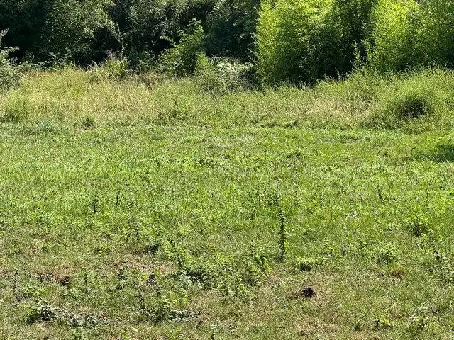 Terreno en venta en Bakio
