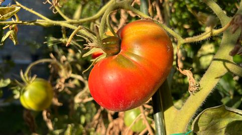 Foto 5 de Casa o chalet en venta en Calle Pirineos, Santa Cilia, Huesca