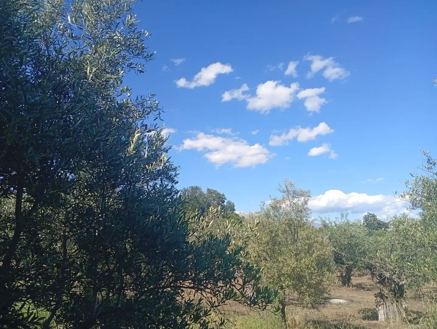 Maison à vendre à Villanueva de la Vera, imagen 3