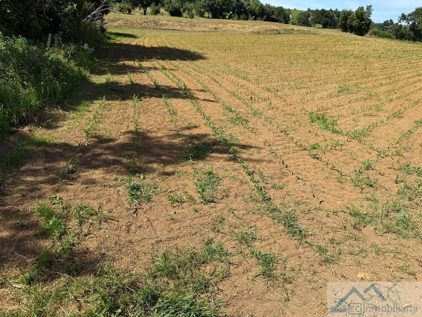 Lands and plots for sale in La Llastra, imagen 7