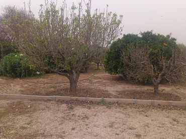 Terreno rustico in vendita a Ribera de Molina - Torrealta