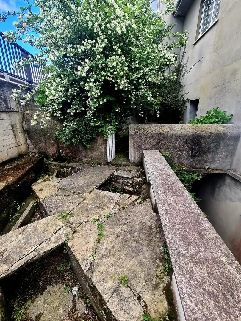 Casa amb jardí en venda a GENERAL SAN MIGUEL, imagen 59