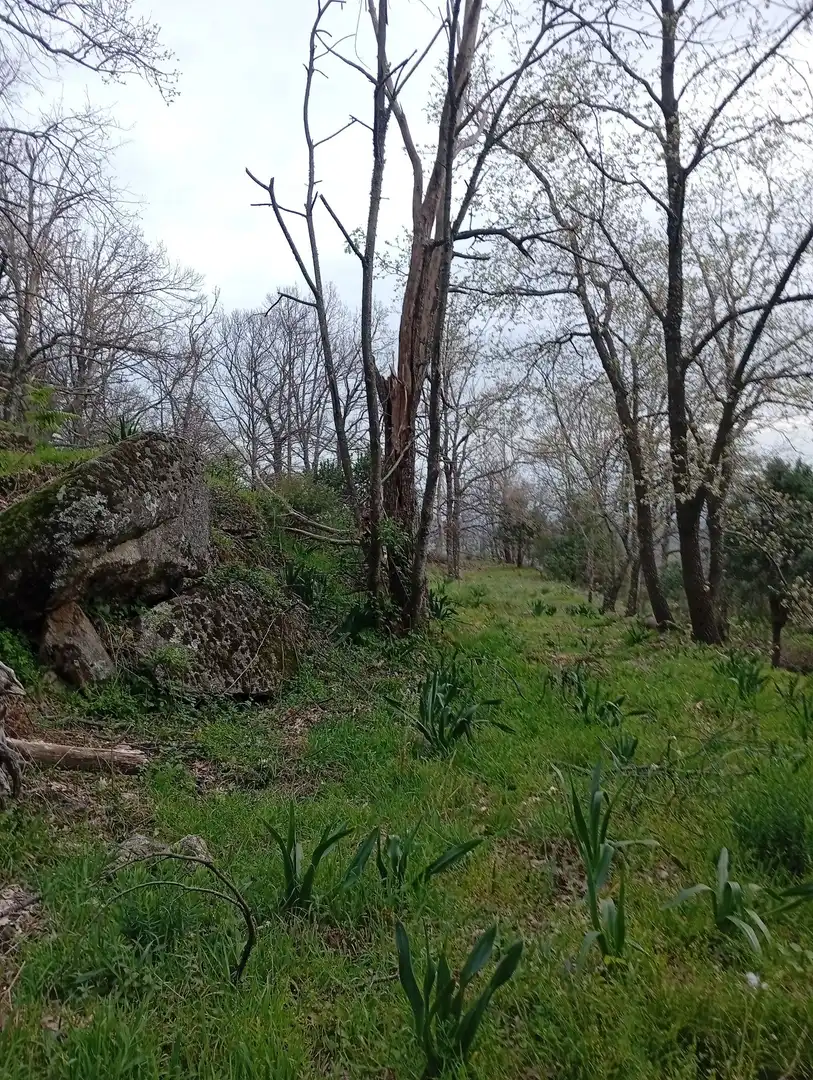 Terreni e lotti in vendita a Valverde de la Vera, imagen 103