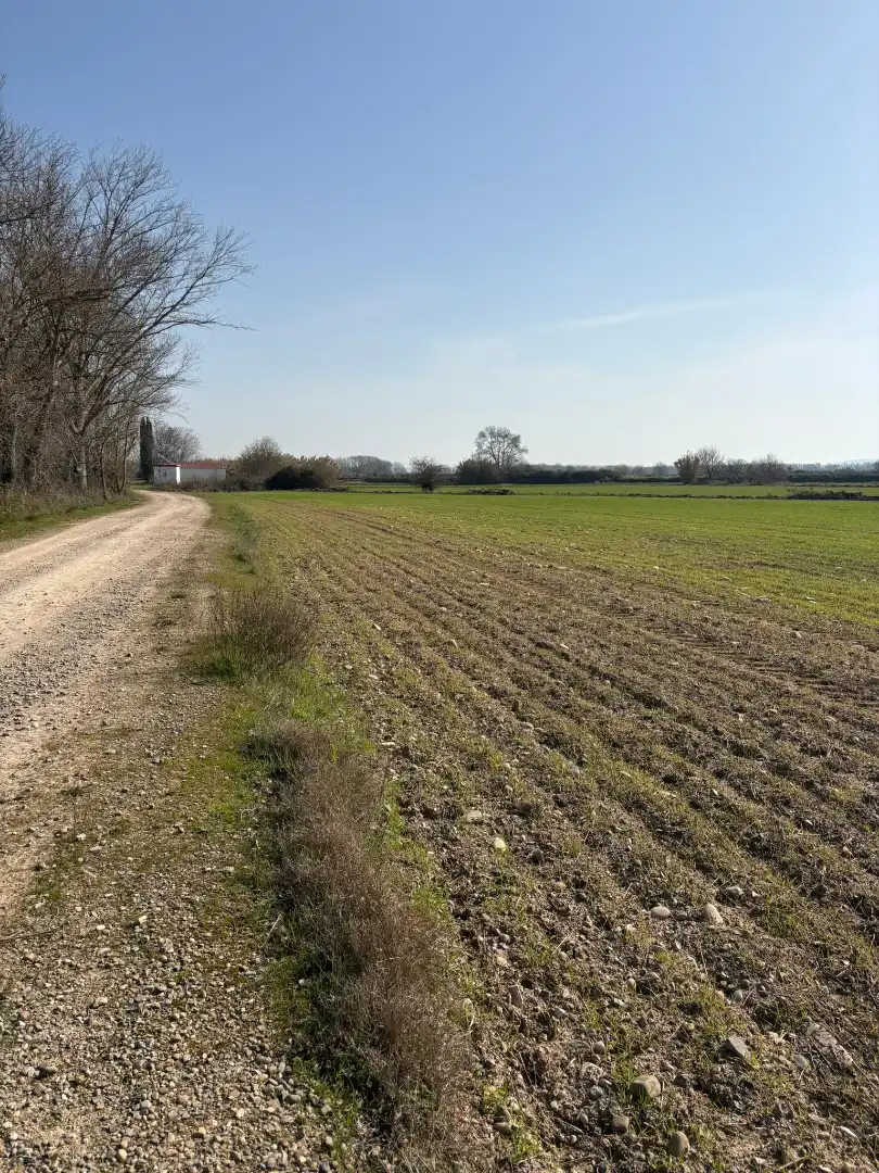 Rustikales Grundstück zum Verkauf in Agoncillo, imagen 3