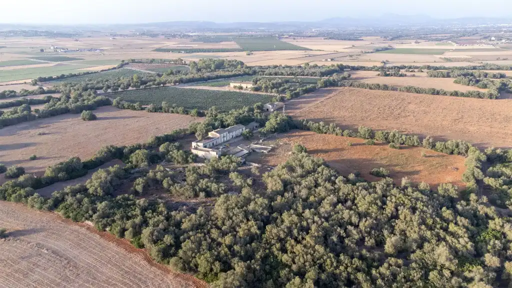 Casa rústica en venta en Vilafranca de Bonany, imagen 3