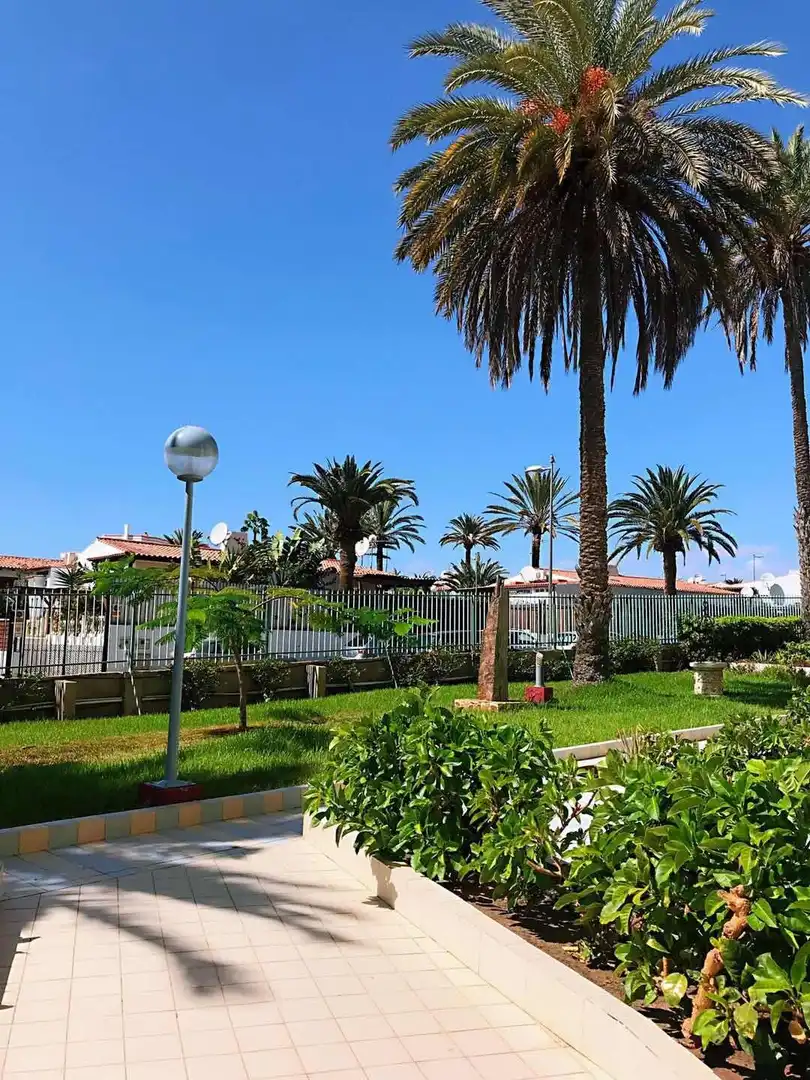 Study for rent in Avenida de Tenerife, Playa del Inglés