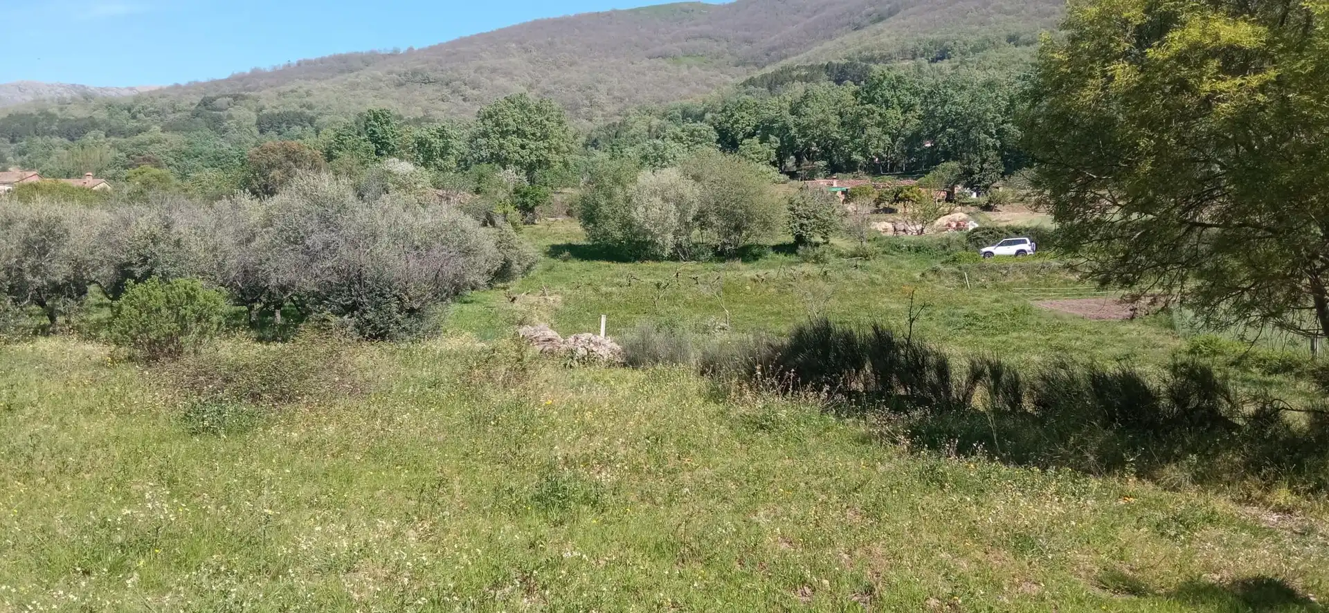Terreni e lotti in vendita a Calle Candeleda 5