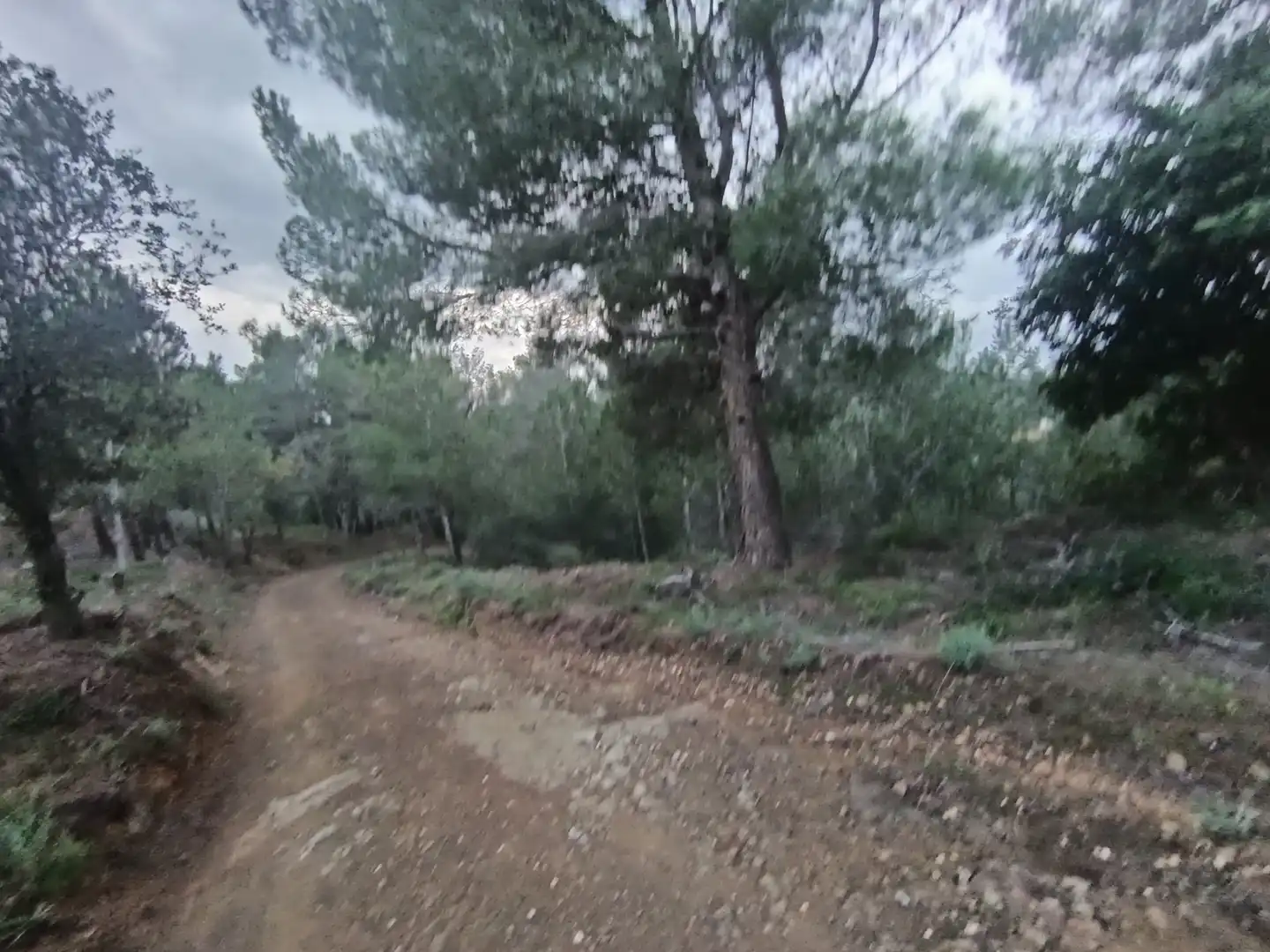Terreny residencial en venda a Castellvell del Camp, imagen 2