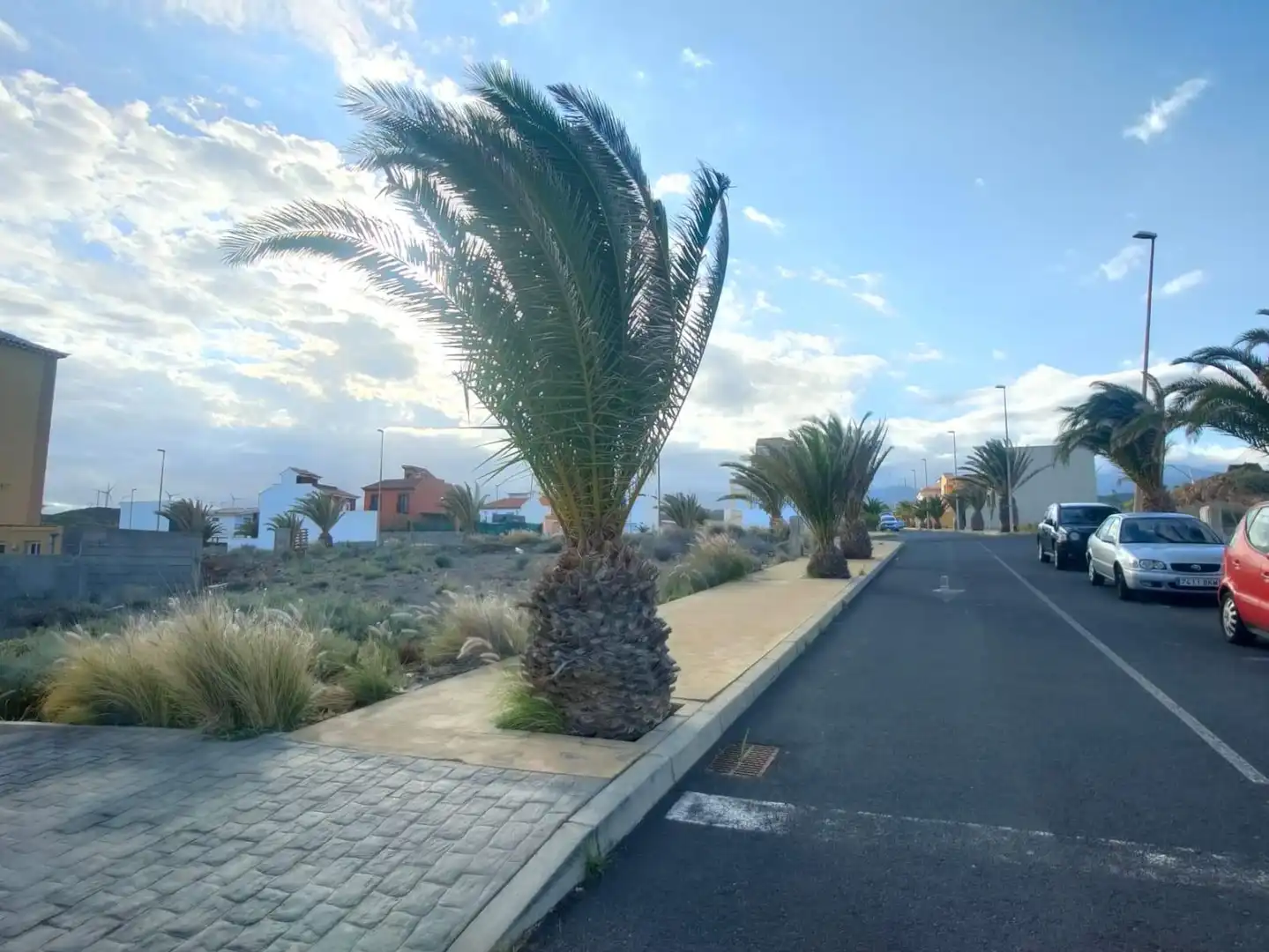 Terreno residenziale in vendita a Calle ALCALDE RICARDO PONCE NUÑ, imagen 3