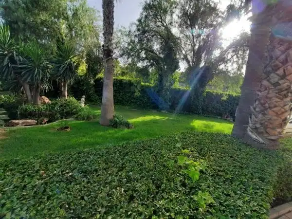 Villa avec piscine à vendre à Monóvar  / Monòver, imagen 67