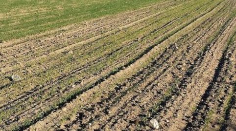 SE VENDE FINCA AGRÍCOLA DE 1.160 HECTÁREAS, Bild 3