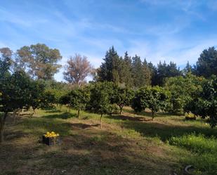 Residencial en venda en Jimena de la Frontera