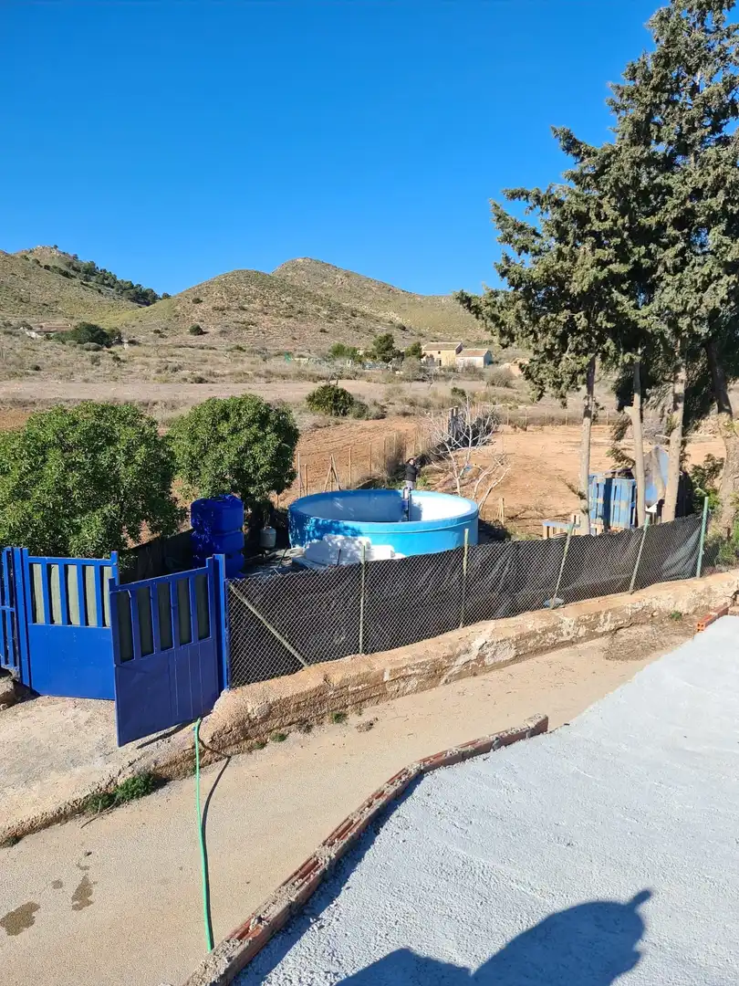Finca rústica en venta en Mazarrón Casco Urbano