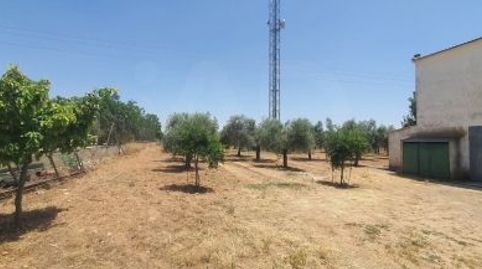 Foto 5 de Finca rústica en venda a Zona Entrada - Gasolineras, Ocaña