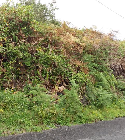 Foto 2 de Terreny en venda a Icod de los Vinos pueblo, Icod de los Vinos