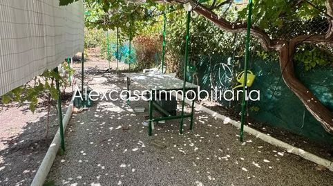 TERRENO RUSTICO, immagine 3