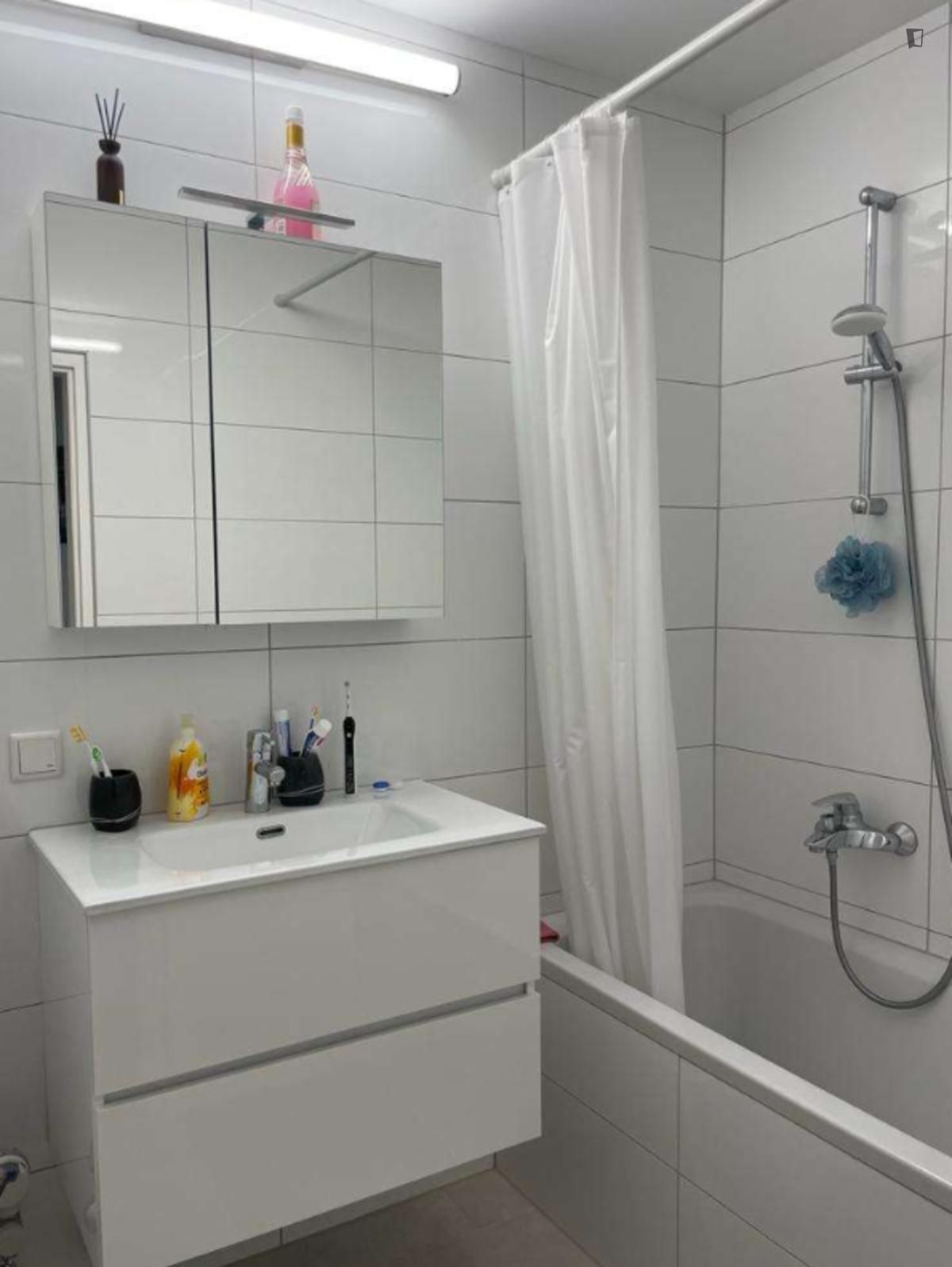 Bathroom of Apartment to rent in  Madrid Capital  with Air Conditioner, Heating and Furnished