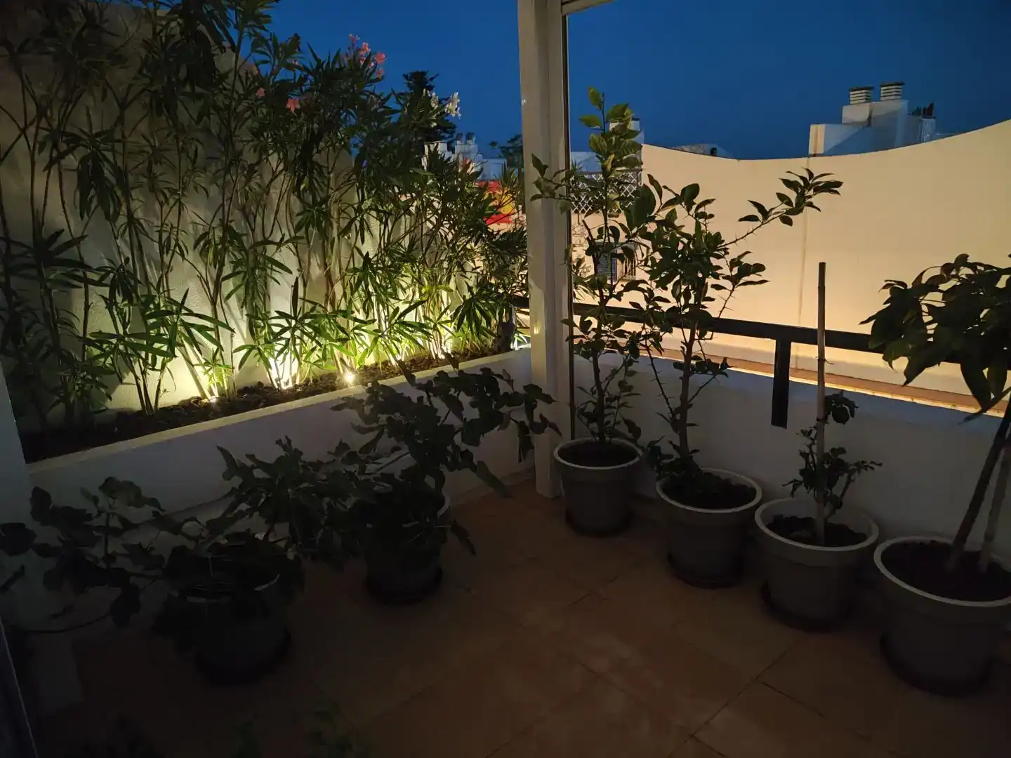 Terrace of Flat for sale in Benalmádena  with Swimming Pool and Balcony