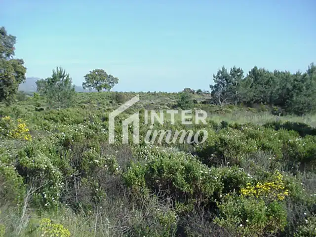 Terreny residencial en venda a Polígono Butaros 181, imagen 16