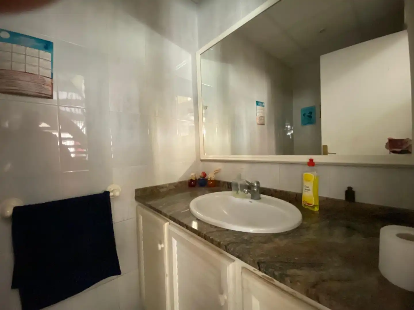 Baño de Edificio en venta en Amposta