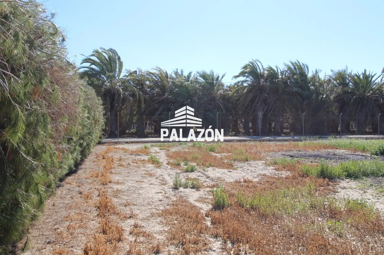 Chalet en venta en Dolores, imagen 36