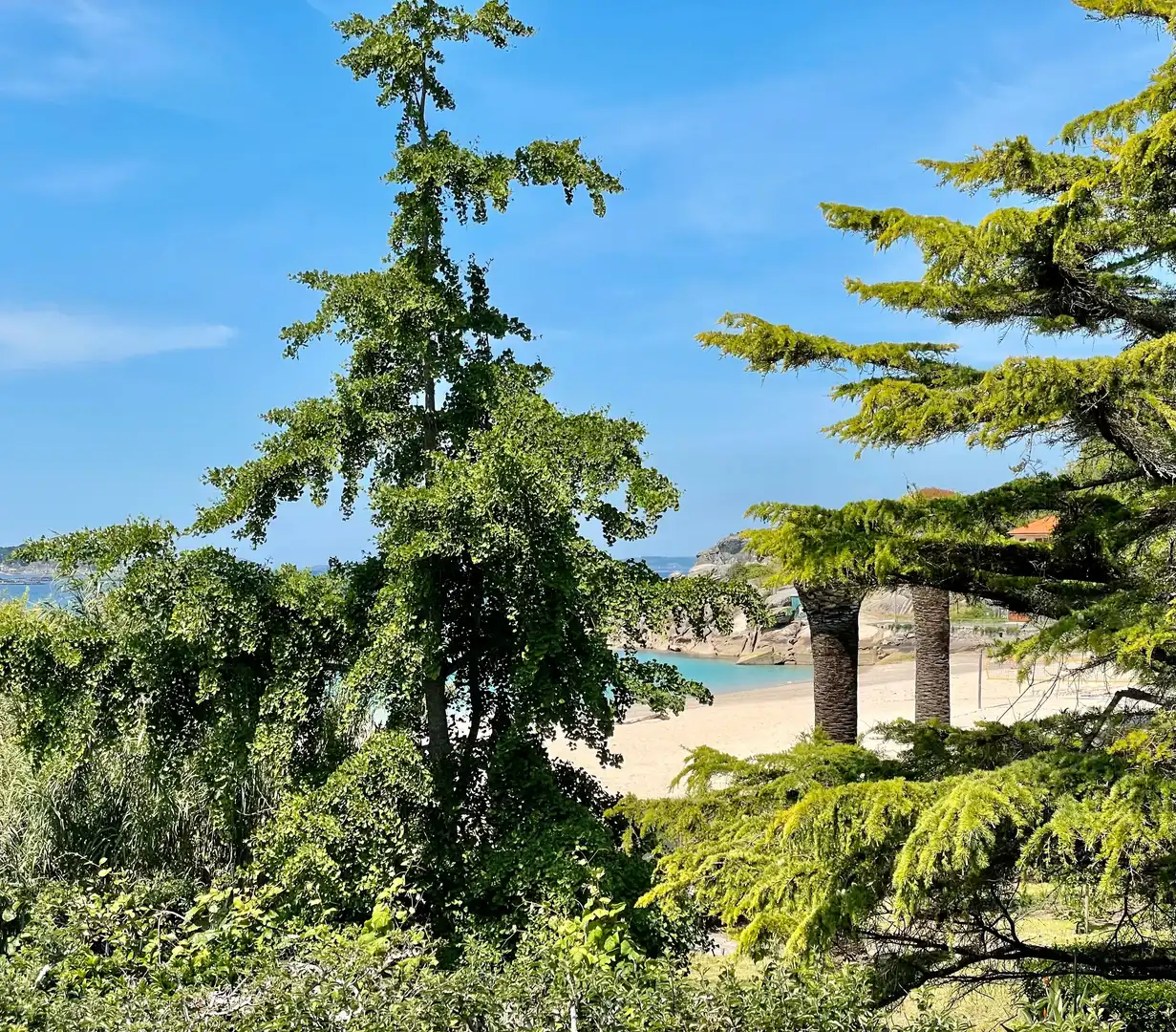 Jardín de Casa o chalet de alquiler en Cangas  con Jardín privado, Parquet y Terraza