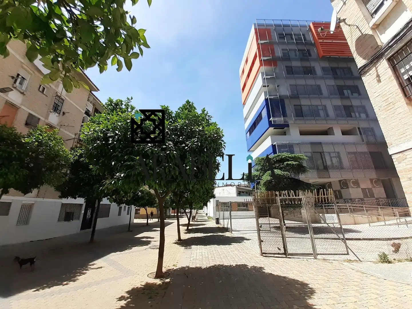 Vista exterior de Pis en venda en Córdoba amb Aire condicionat