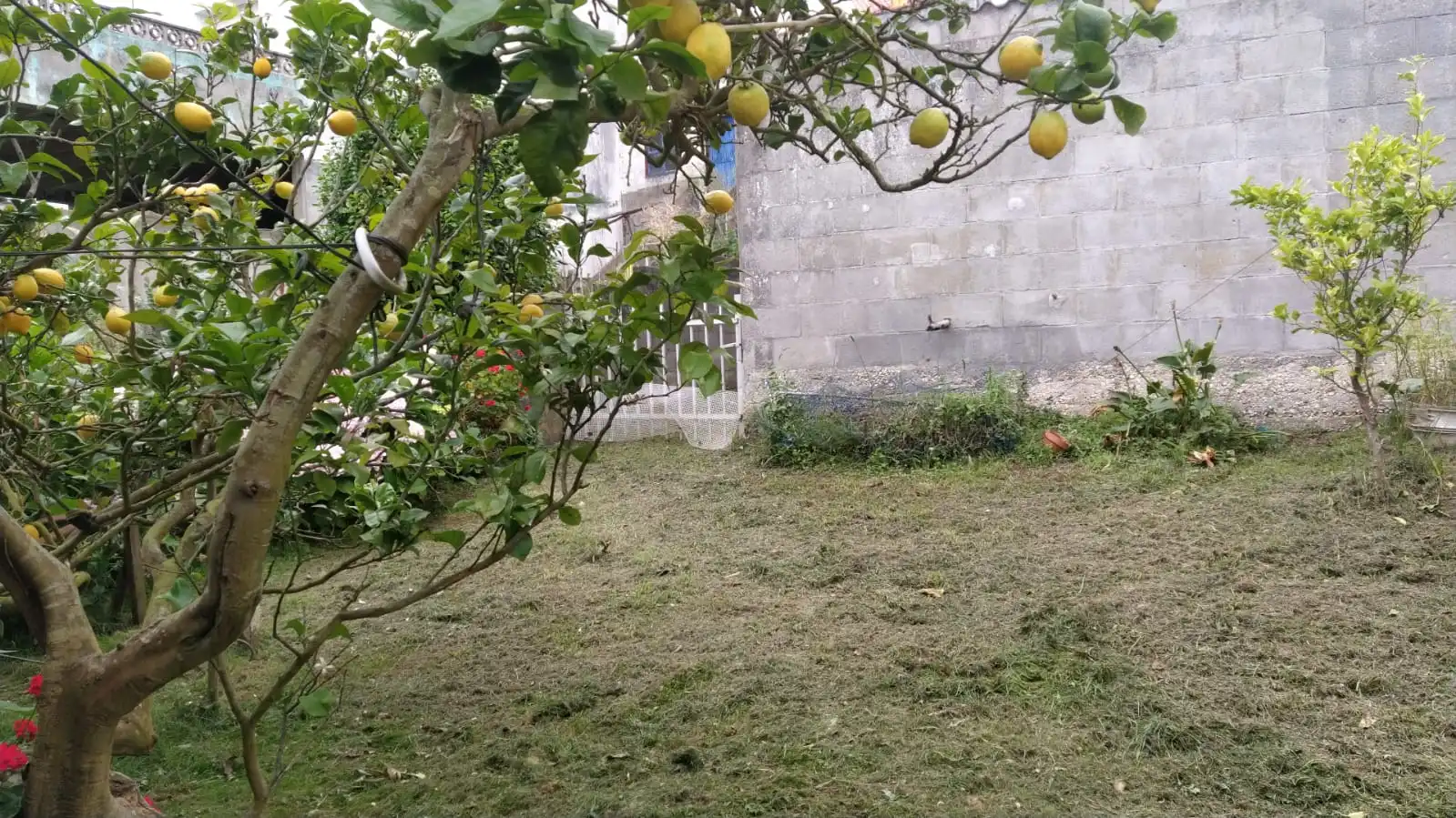 Casa con terrazza in vendita a Rúa Landín Carrasco 14D, imagen 10