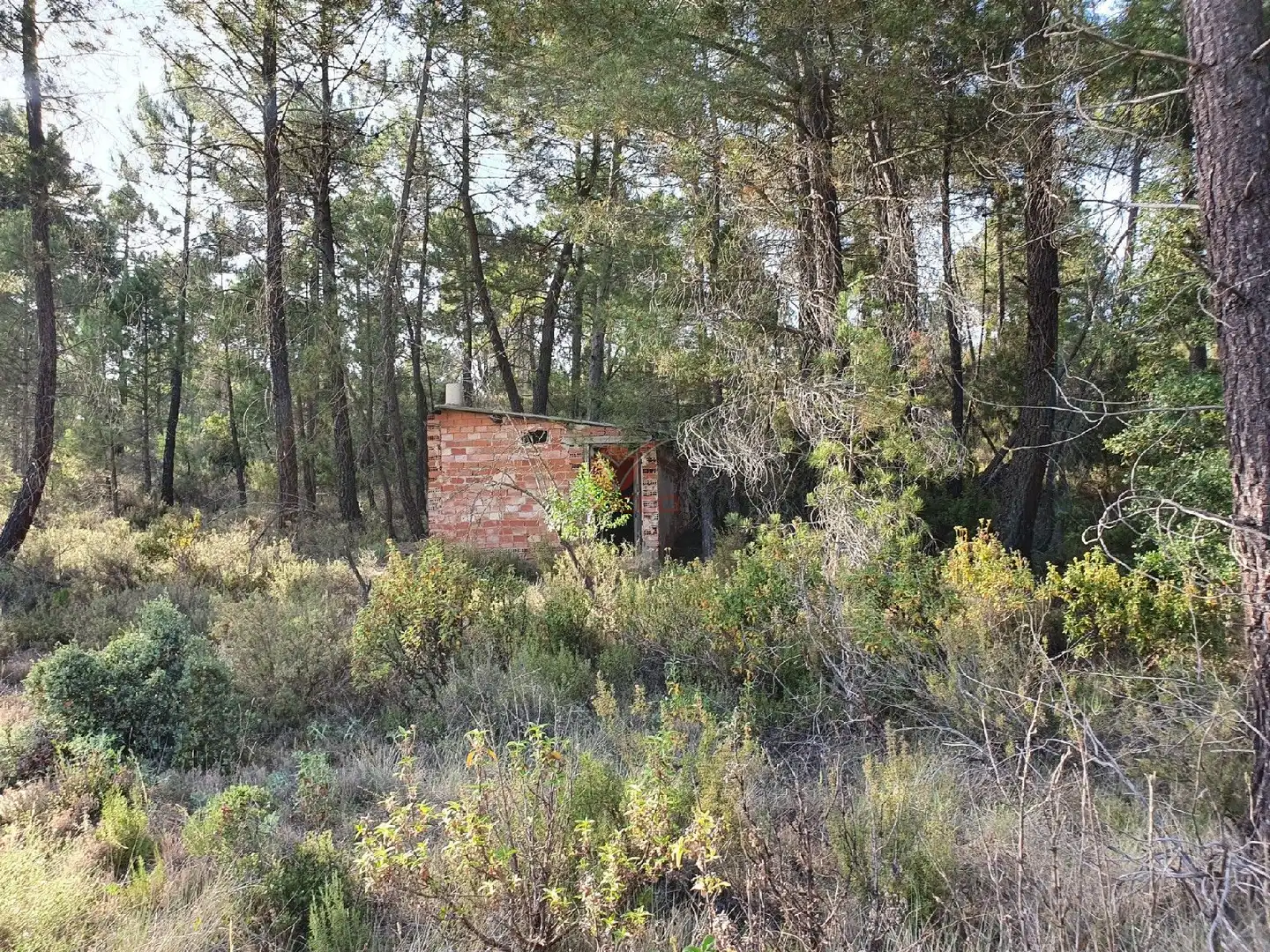Terreni e lotti in vendita a JABAGA, CTRA. MADRID,, imagen 7