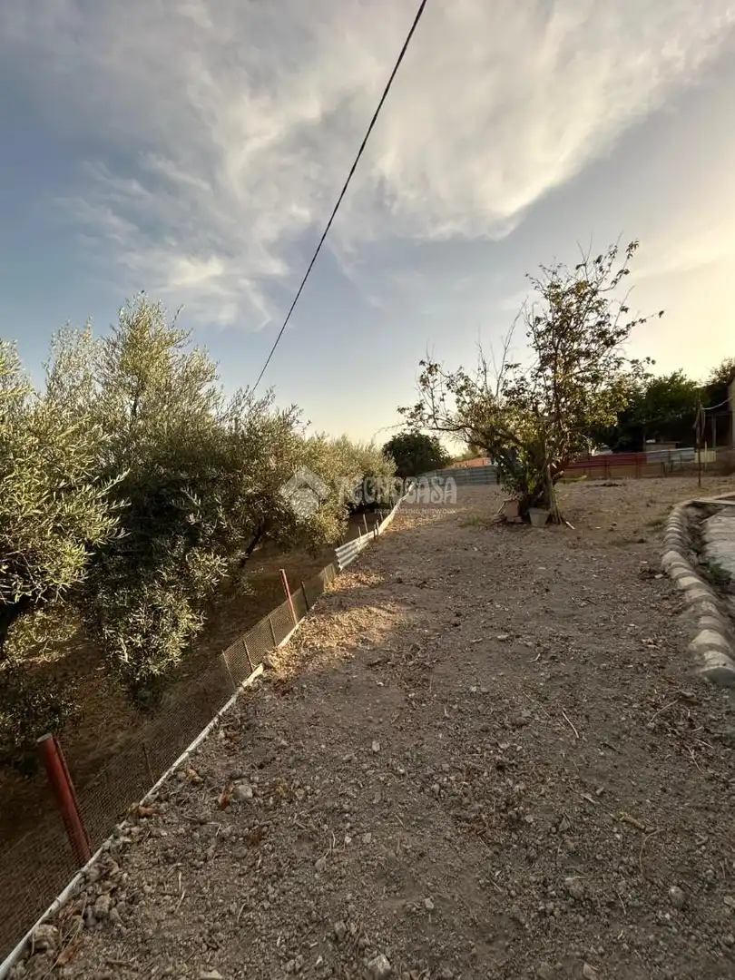 Finca rústica en venda en Montilla