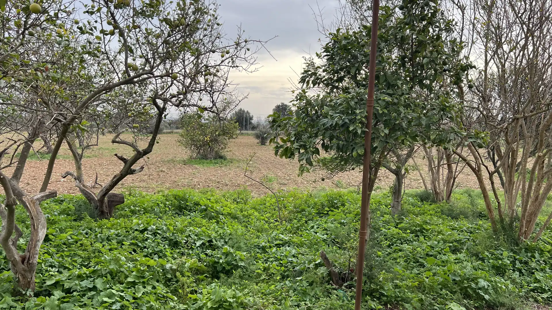 Maison rustique à vendre à Binissalem, imagen 19