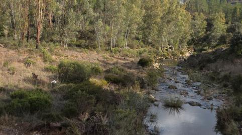 Photo 2 of House or chalet for sale in Calle Río Tinto, Nerva, Huelva