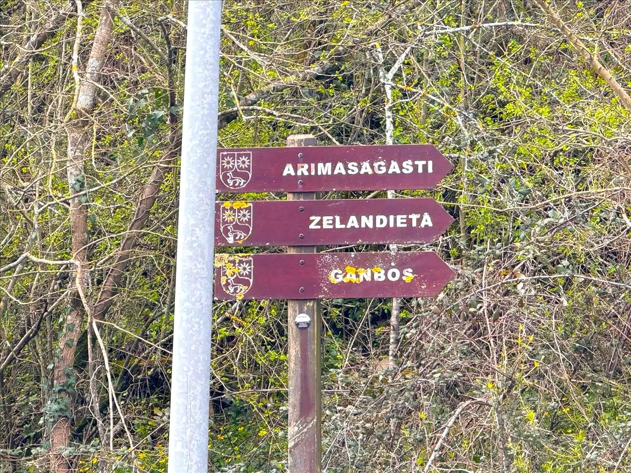 Residencial en venta en DISEMINADO - CASERIO ZELAUNDI, Albiztur