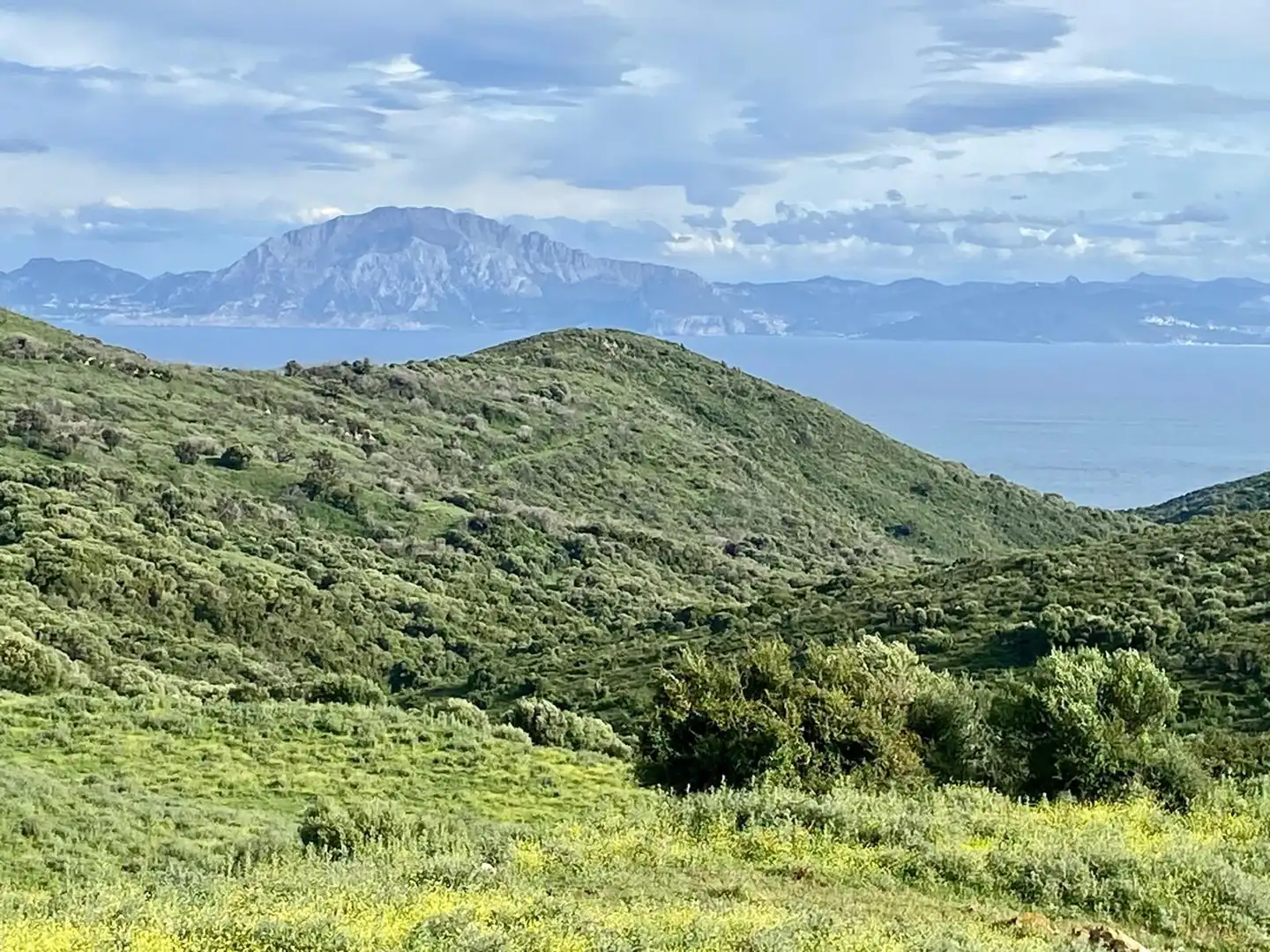 Casa o chalet en venta en Tarifa con Jardín privado y Terraza