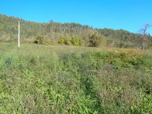 Terreno rustico in vendita a Parroquias suroccidentales, imagen 17