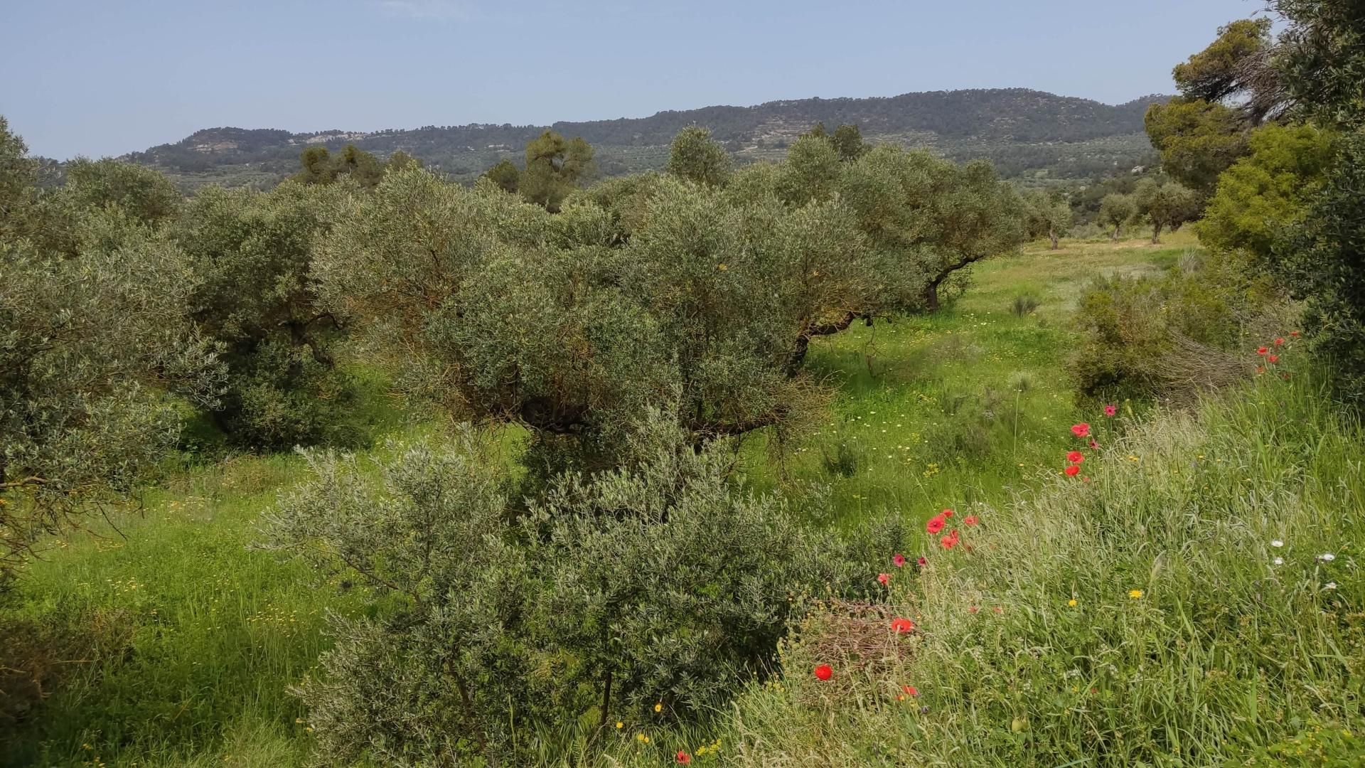 Residential for sale in Vinaixa