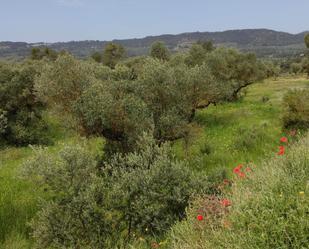 Residential for sale in Vinaixa