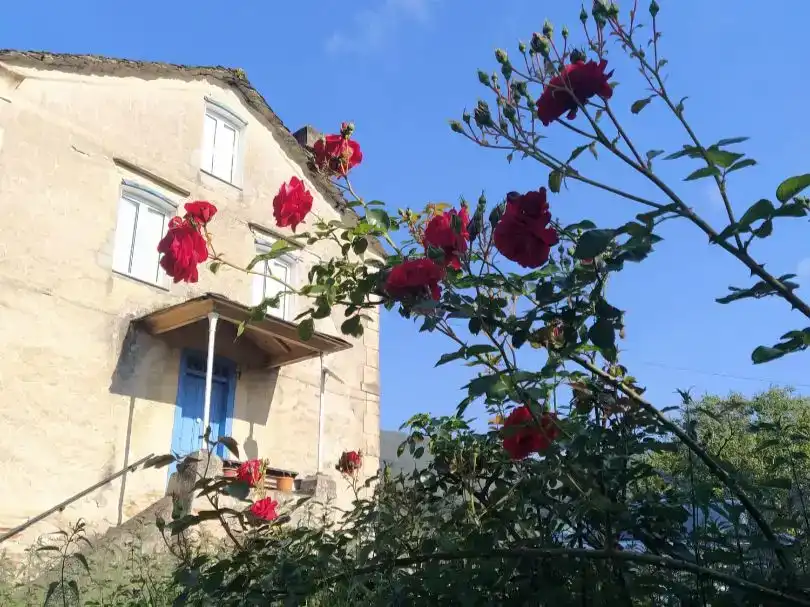 Jardí de Pis en venda en A Pontenova   amb Jardí privat, Traster i Moblat